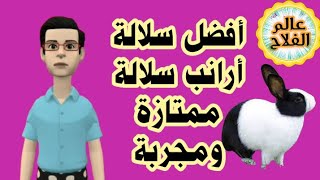 أفضل سلالة أرانب في مصر سلالة ممتازة ومجربة بنفسى