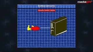 Chapter 10 - System Security