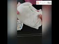 Newborn Training Pants Baby Underwear