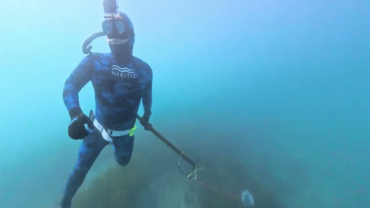 Spearfishing in Mexico - Stoneshot