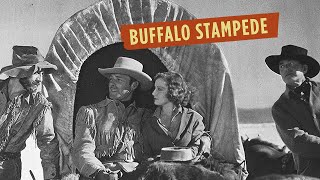 Buffalo Stampede