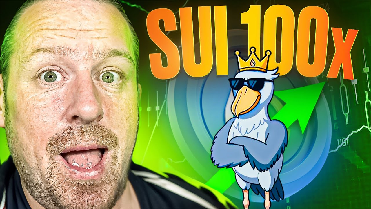 A SUI 100X Opportunity Is Right Infront Of You  BILLYONSUI ($BILLY) Is Ready