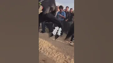 لبيك يا عباس ياعباس ياحسين ياعلي لبيك ياحسين لبيك ياعباس لبيك يا قائم آل محمد عاشوراء الحسين 