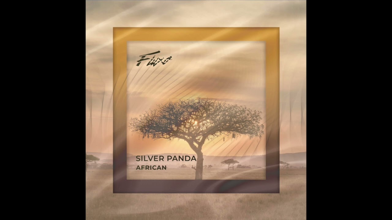 Watch Silver Panda - African on YouTube Watch Silver Panda - African on YouTube