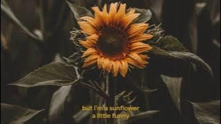 Sunflower - Sierra Burgess (Sierra Burgess Is A Loser) Lyrics