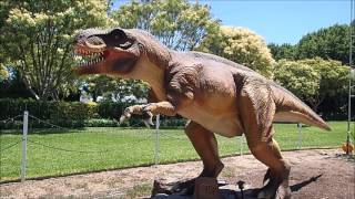 Notdunroamin: Hunter Valley Gardens, NSW Australia