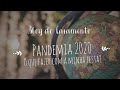 Pandemia 2020 - O que eu faço com a minha festa de casamento ?