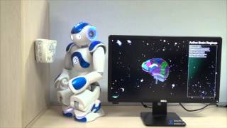 BrainBo: Cognitive Robotics with a CASIA Brain [inductive reasoning, object recognition]