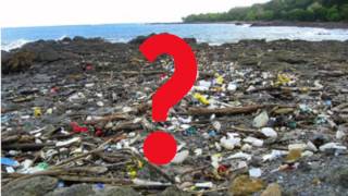 Human and Environmental Interactions