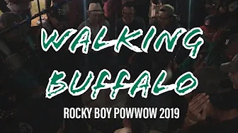 WALKING BUFFALO @ Rocky Boy Powwow 2019