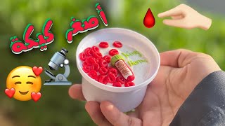 أصغر كيكة خلايا دم? مختبرات طبية✨ امراض الدم?❤️ smallest blood cell cake for laboratory medicine