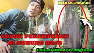 CAMPING HOROR : SOSOK PENAMPAKAN DI GUNUNG HEJO LOKASI RITUAL PESUGIHAN