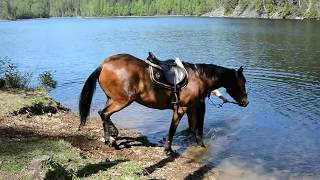 Charlotte Og Evert Majordammen 27 05 2017
