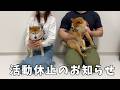 突然のご報告となり申し訳ありません。