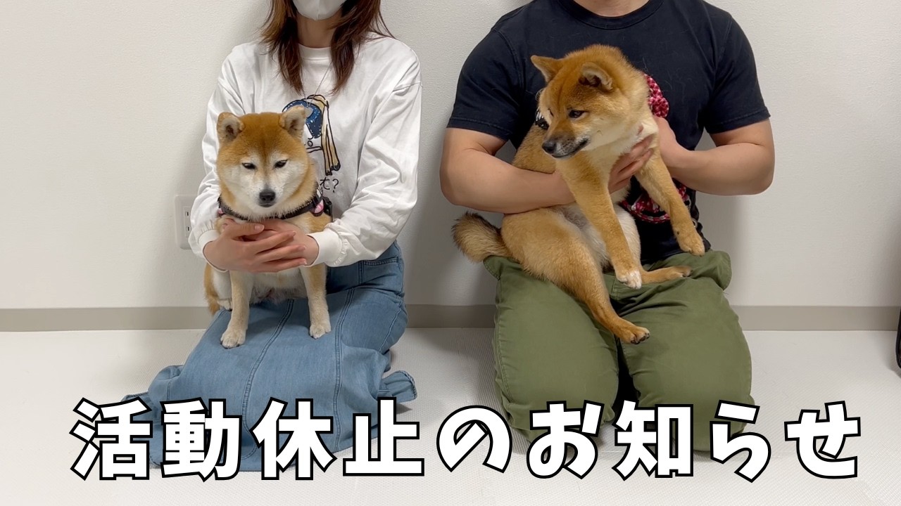 突然のご報告となり申し訳ありません。
