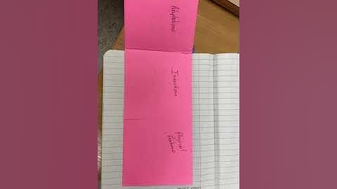 Interactive Notebook and foldable