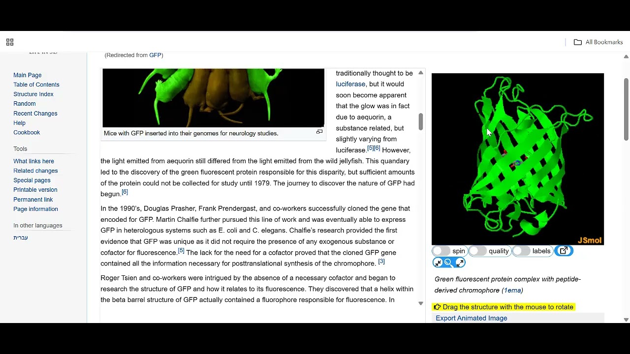 Proteopedia: GFP
