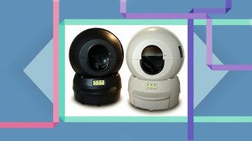 Litter Box Solution - The Litter-Robot