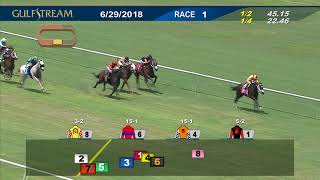 Gulfstream Park Race 1 | June 29, 2018