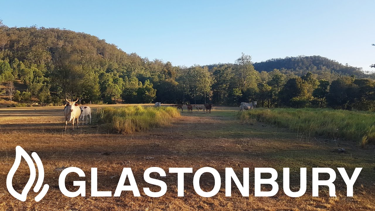 Glastonbury Creek Camping Area Brooyar State Forest, QLD YouTube