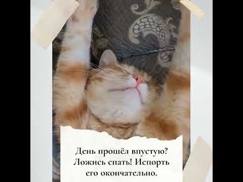 Доброе утро, пожелание!