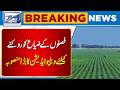 Major Value-Addition Project Launched to Prevent Crop Losses | Breaking News | Lahore News HD