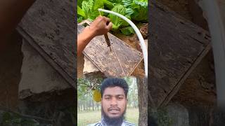 হাত দিয়েই ড্রিল! মেশিন ছাড়াই সহজ সমাধান দেখুন 😲 #DIY #SmartTrick‎