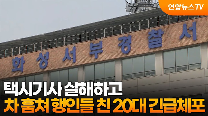 택시기사 살해하고 차 훔쳐 행인들 친 20대 긴급체포 / 연합뉴스TV (YonhapnewsTV)