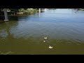 First Flight DJI Mini 2