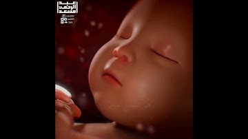 قرآن الكريم بصوت عبدالرحمن مسعد 😊🖤 اجمل حالات واتس اب دينية سورة العنكبوت 🎧 والذين صبروا وعلى ربهم..