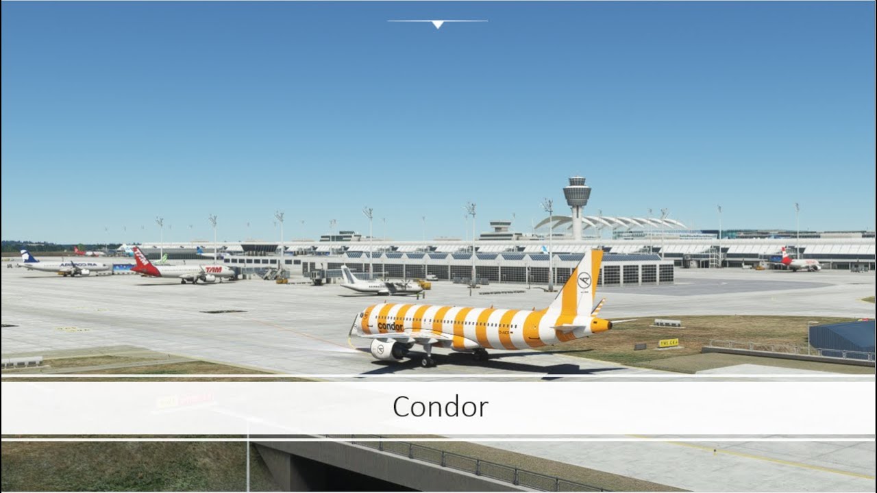 Condor Who Is English Youtube