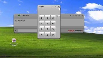 Overview of the Avaya one X Agent Main Window  by Intelli Flex