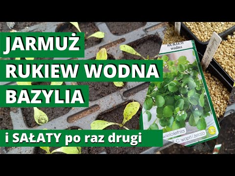 Wideo: Jak zrobić półkę (ze zdjęciami)