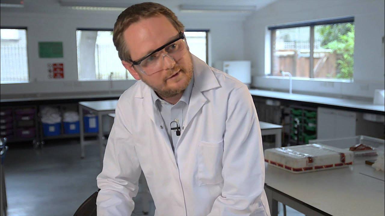 Pluck Dissection demonstration Get set...demonstrate for Demo Day