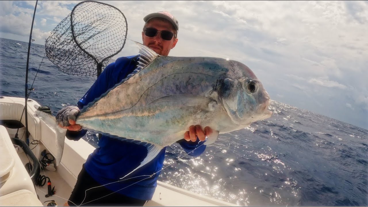 GIANT African Pompano! Multiple TROPHY Fish Caught (Gulf of Mexico