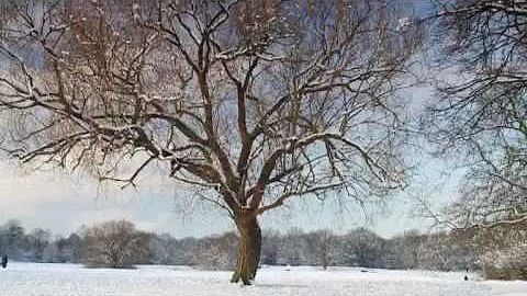 Barton's Britain: Hampstead Heath in the snow