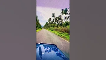 Driving Along The West Coast Of Wewak East Sepik Province Papua New Guinea Shortsbeautiful 