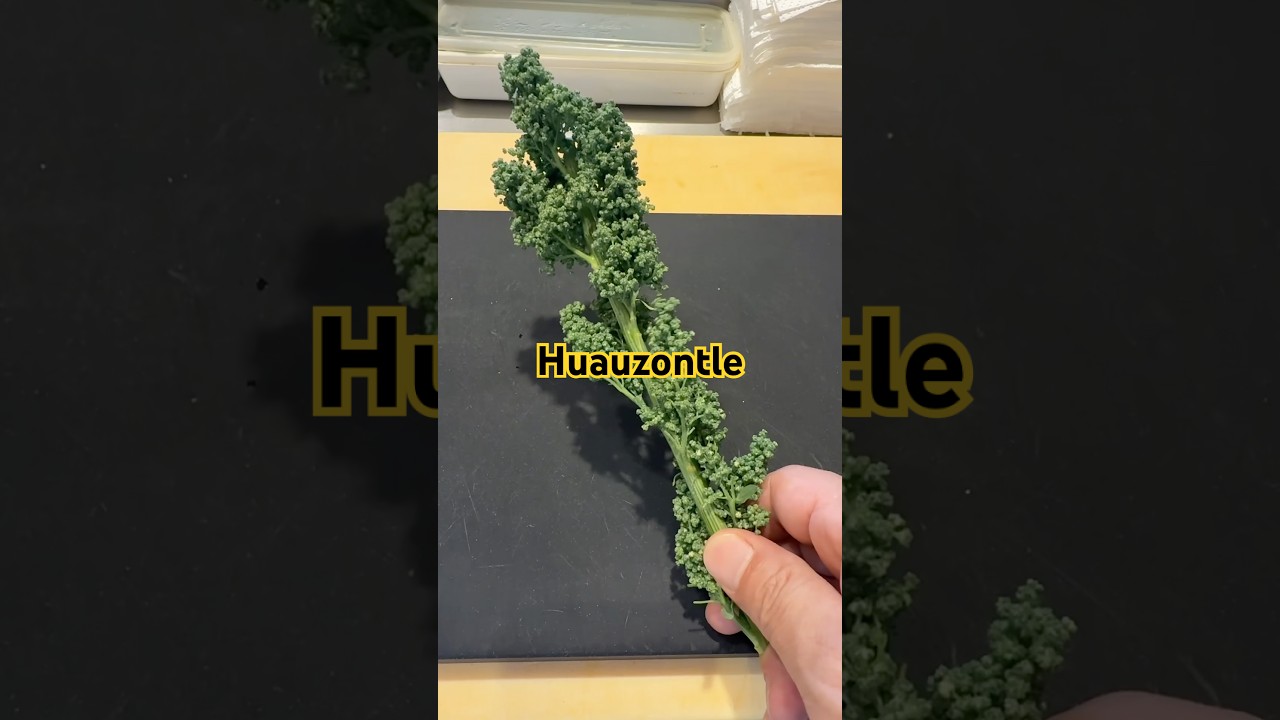 Huauzontle #cocinajaponesa #comidamexicana