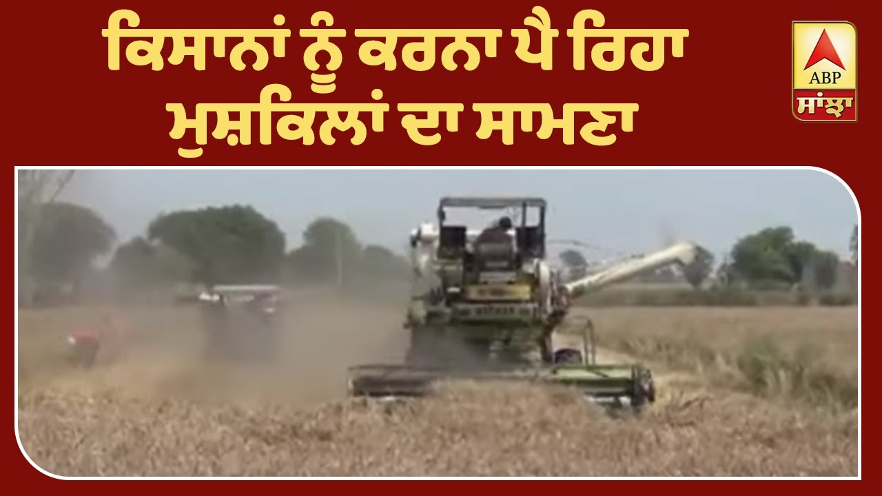 ਕੋਰੋਨਾਵਾਇਰਸ ਨੇ ਵਧਾਈ ਕਿਸਾਨਾਂ ਦੀ ਚਿੰਤਾ | ABP Sanjha