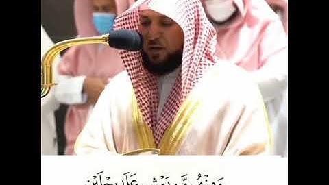 تلاوة مرئيه ماهر المعيقيلي سورة النور | والله خلق كل دابه من ماء