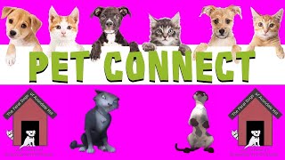 Pet Connect - 06/21/2023