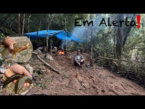 ALERTA de PERIGO no ACAMPAMENTO ao AMANHECER! JUNDIÁ de BALAIO no REMANSO da ENCHENTE!