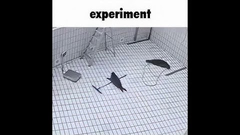 experiment 100% (Demon) by mbed & more | Geometry Dash 2.2