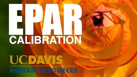 Performance Reviews at UC Davis: Calibration