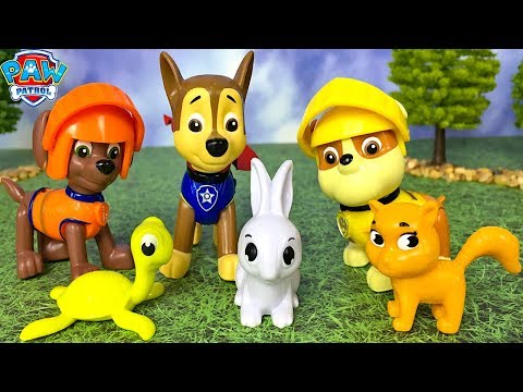 unboxing-paw-patrol-mission-quest-with-chase-rubble-&-zuma