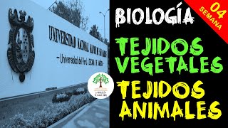 🌳 Biología 4 pre UNMSM: Tejidos vegetales y tejidos animales ✅ ⚛️