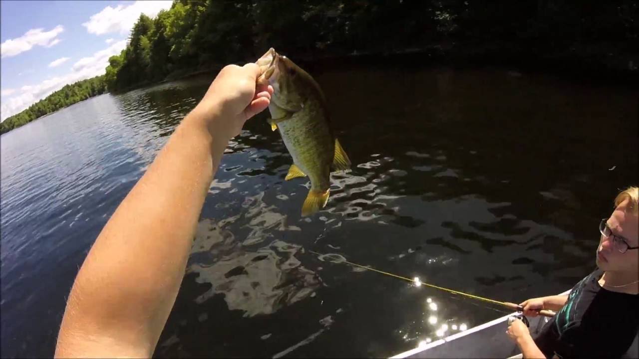 Bass Fishing Topwater! YouTube