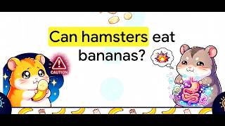 Can hamsters eat bananas