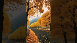 Aisha Diwana Short video #love #song #nature #shorts #youtube #shortvideo #beautiful #short