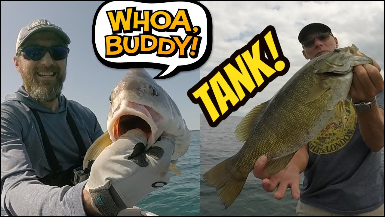 Lets go правило. Ощущения картинки. Let go back. We screwed up everything. Connection lost картинка.